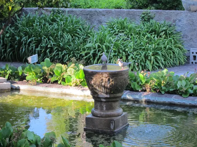 Garden at La Napoule